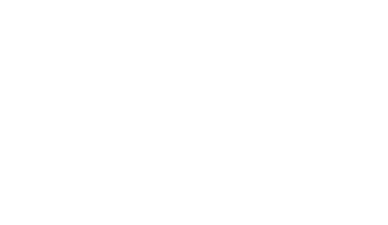 Majestic & Intelligence Project Management IT Professionals Consulting