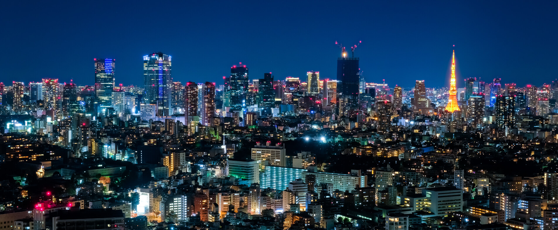 東京の夜景